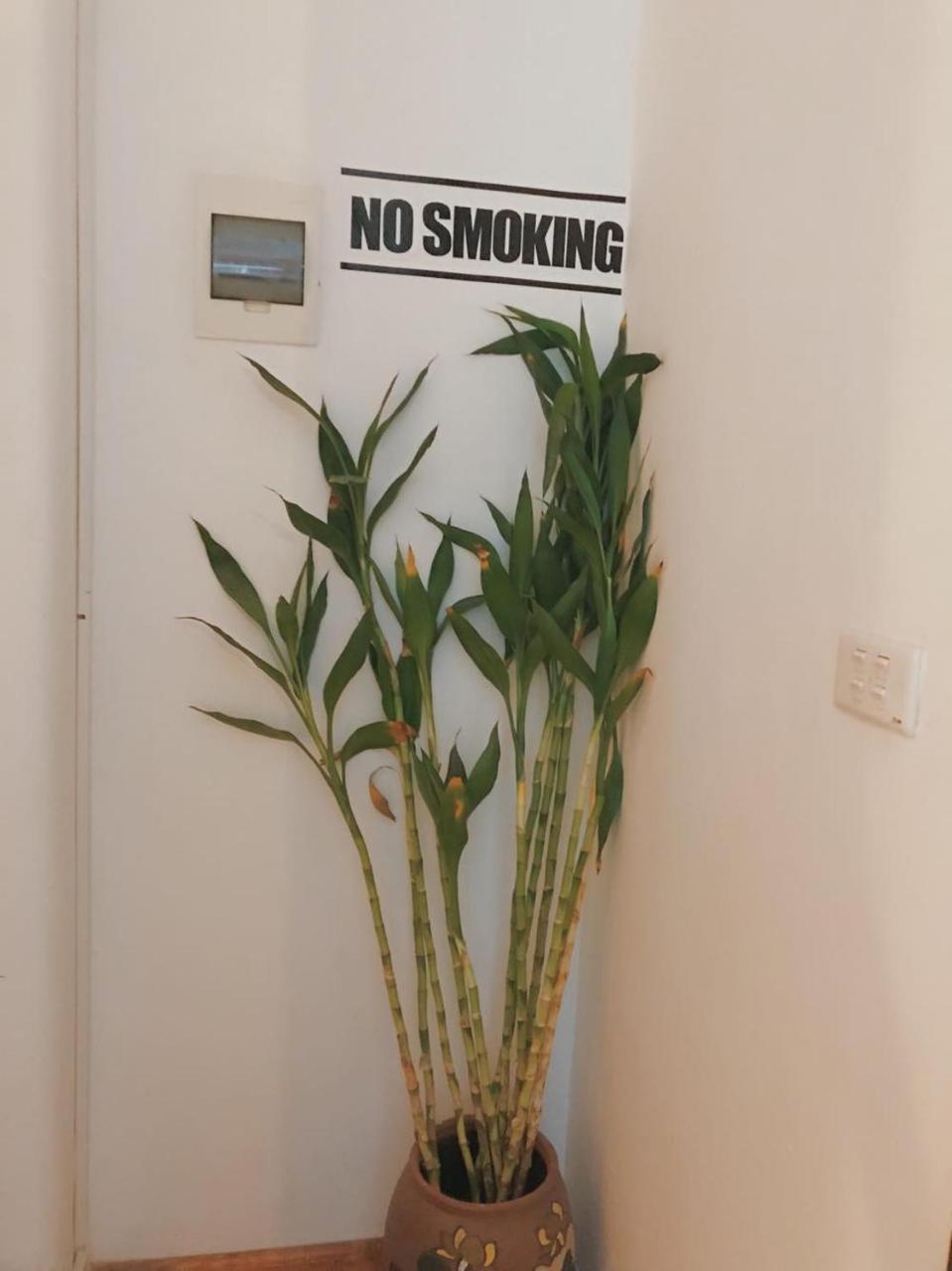 Tre House Homestay Hanoi Exteriör bild