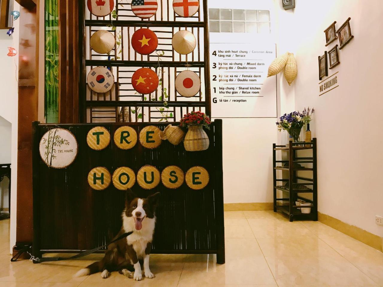 Tre House Homestay Hanoi Exteriör bild